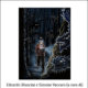 L'oscuro compagno, libro