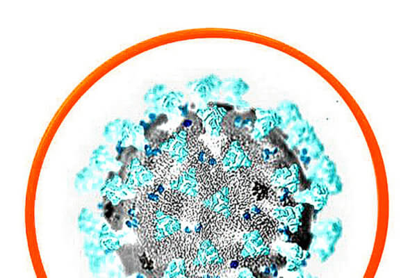 Coronavirus Trascendentale