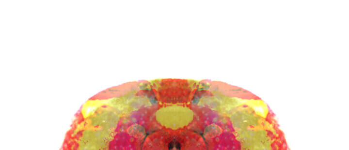 Fruit-malum-TKT
