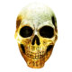 TKT-skull-op