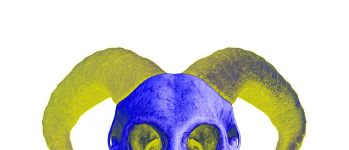 Skullz 0.0