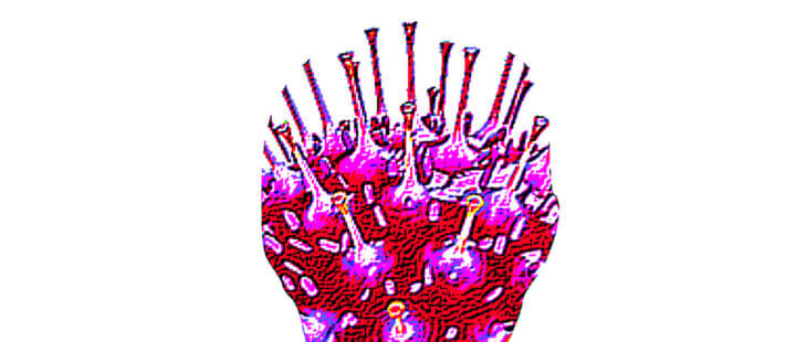 SANO_PORTATORE