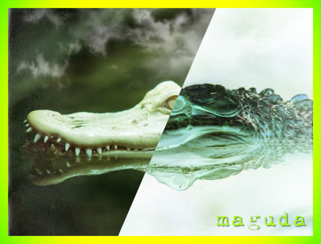 Swamp of Difference