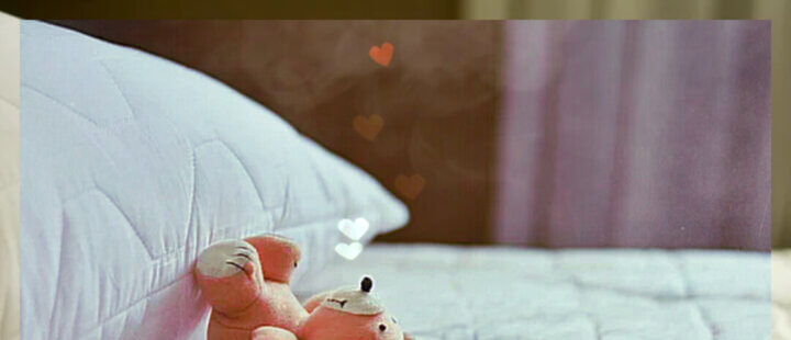 Teddy Luv