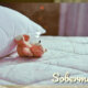 Teddy Luv