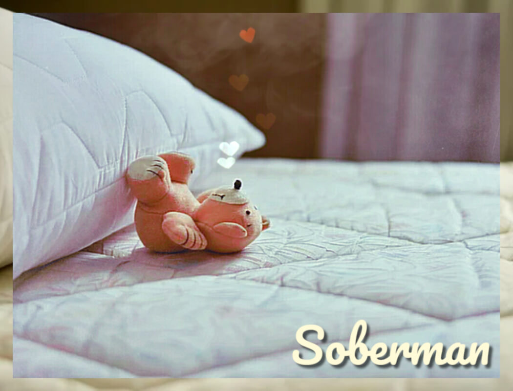 Teddy Luv