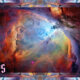 Cosmic Mind