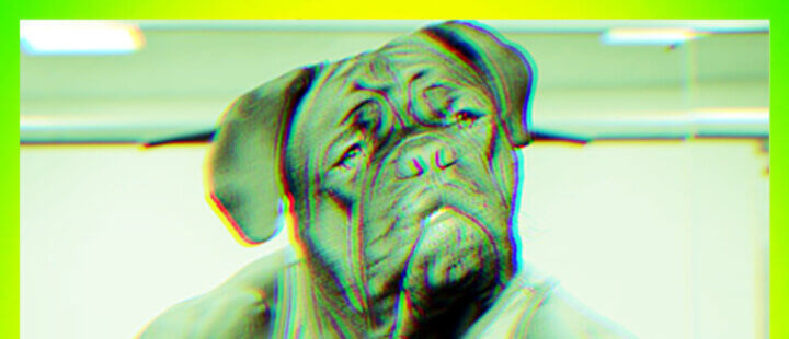 Mastino