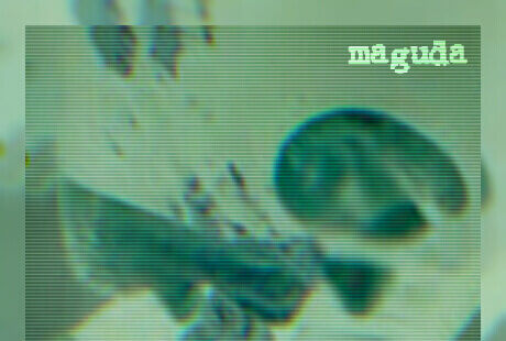 FKLVMT