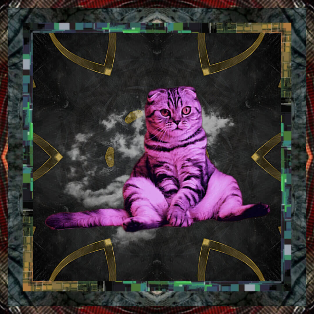 Met Cat