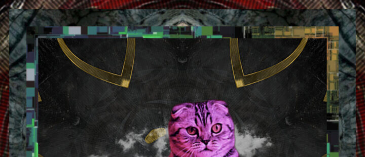 Met Cat