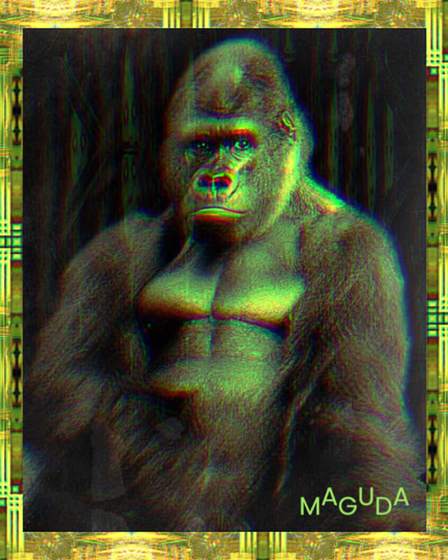 Gorilla