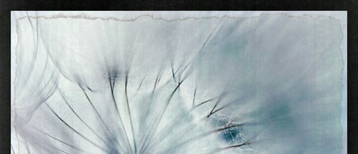 Wind & Waves