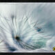Wind & Waves