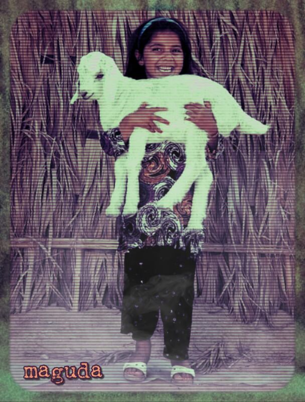 Carimal