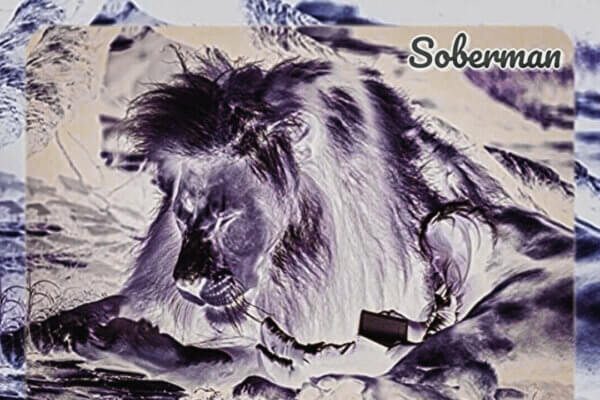 Buone Maniere