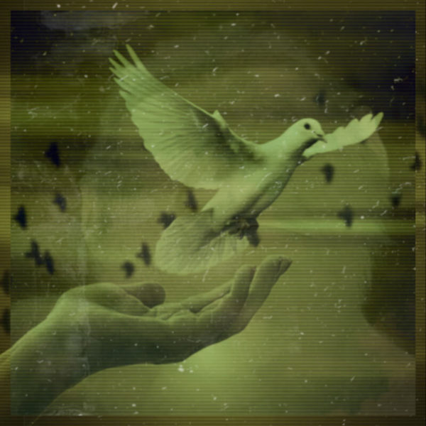 Flight Flight