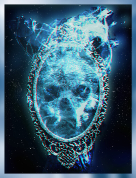 Mirrorwolf Mirrorwolf